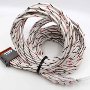 Wire Harness, 2m (comprised of TE Deutsch mating plug DT06-12SA, W12S, 12 contacts, 14 AWG unterminated wire)