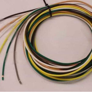 Wire Harness (DT06-6S, 2M Unterminated Wires 18AWG)