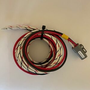 Wire Harness, DTP06-4S Assembly, 2 meters, 12 AWG, Unterminated Cable